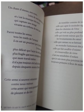 Qui que quand quoi la poésie - Réponse d'un poète de Jean-Hugues Malineau