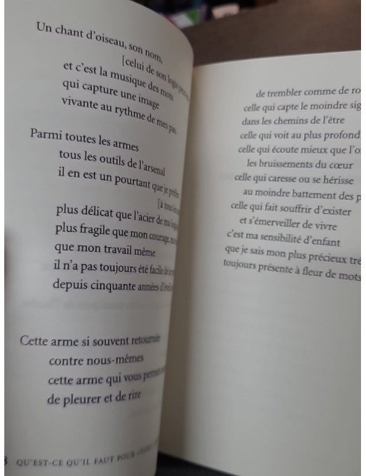 Qui que quand quoi la poésie - Réponse d'un poète de Jean-Hugues Malineau