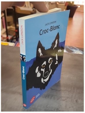 Croc-Blanc, le roman d'aventure animalière de Jack London (texte abrégé)