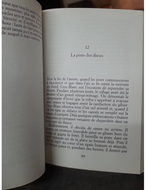 Croc-Blanc, le roman d'aventure animalière de Jack London (texte abrégé)