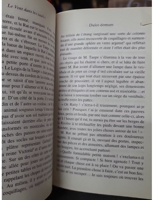 Le Vent dans les saules : le classique de Kenneth Grahame sur l'amitié et la nature