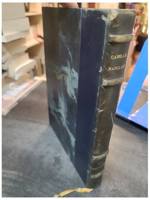 Au soleil de Provence de Camille Mauclair : L'Azur et les Ifs