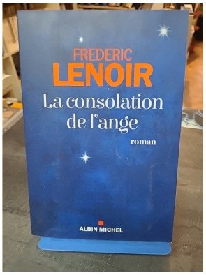 La Consolation de l'ange par Frédéric Lenoir - Un Roman Profond et Émouvant