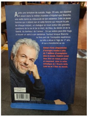 La Consolation de l'ange par Frédéric Lenoir - Un Roman Profond et Émouvant