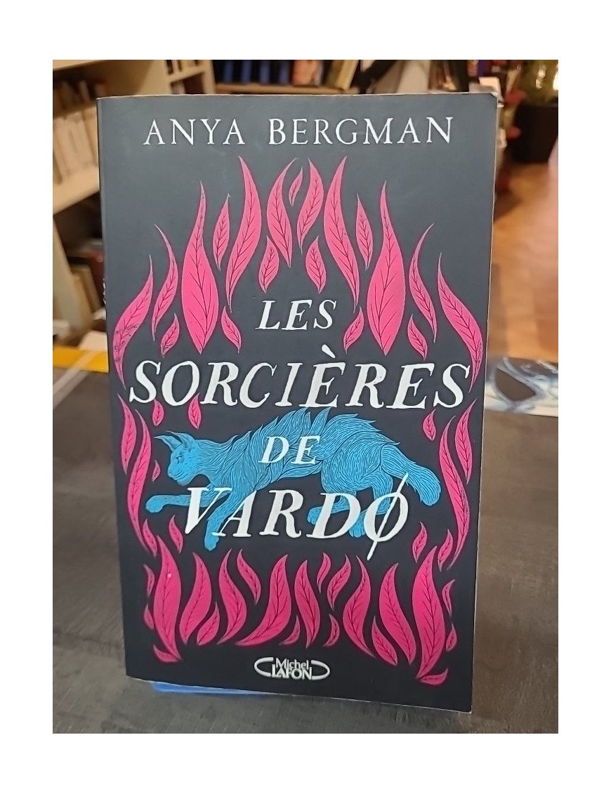 Les sorcières de Vardø par Anya Bergman - Un Roman historique bouleversant