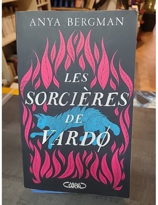 Les sorcières de Vardø par Anya Bergman - Un Roman historique bouleversant