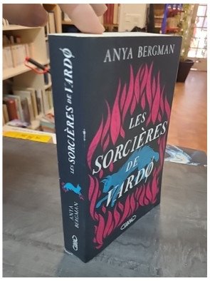 Les sorcières de Vardø par Anya Bergman - Un Roman historique bouleversant