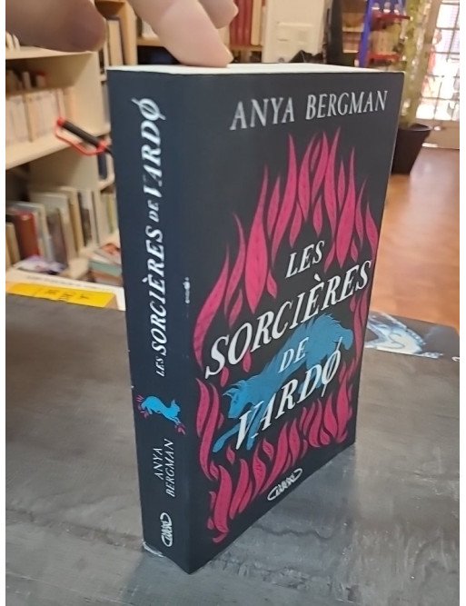 Les sorcières de Vardø par Anya Bergman - Un Roman historique bouleversant