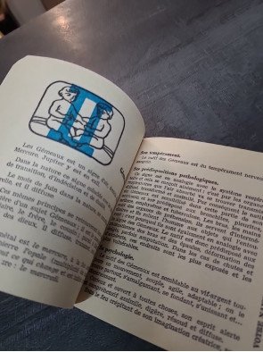 Sex and the City de Candace Bushnell : l'oeuvre qui inspira la série