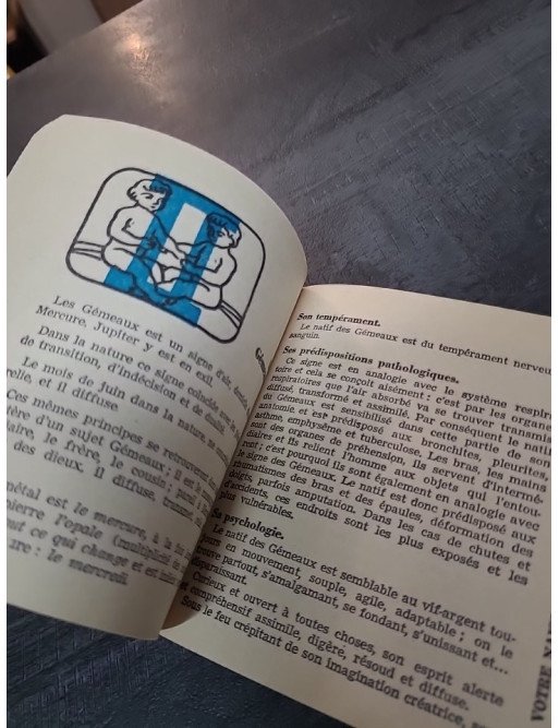 Sex and the City de Candace Bushnell : l'oeuvre qui inspira la série Sex and the City de Candace Bushnell : l'oeuvre qui inspira la série