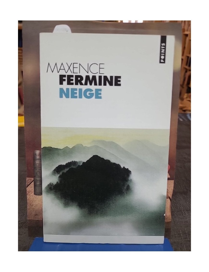 Neige de Maxence Fermine - Le roman poétique entre haïku et sérénité japonaise