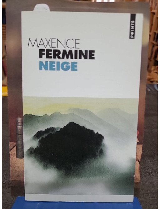 Neige de Maxence Fermine - Le roman poétique entre haïku et sérénité japonaise