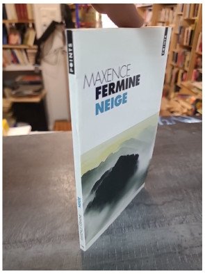 Neige de Maxence Fermine - Le roman poétique entre haïku et sérénité japonaise