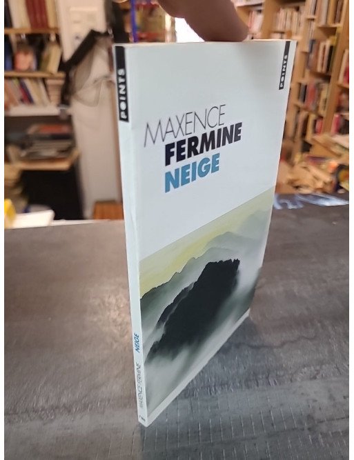 Neige de Maxence Fermine - Le roman poétique entre haïku et sérénité japonaise