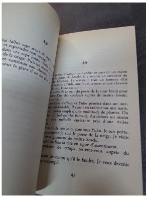 Neige de Maxence Fermine - Le roman poétique entre haïku et sérénité japonaise