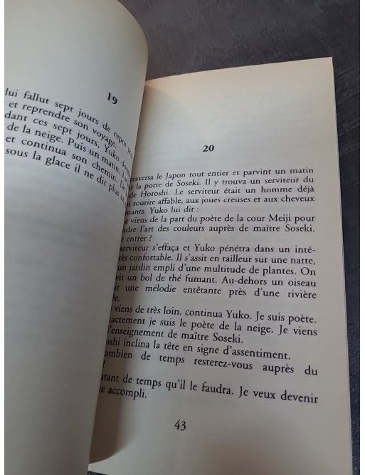 Neige de Maxence Fermine - Le roman poétique entre haïku et sérénité japonaise