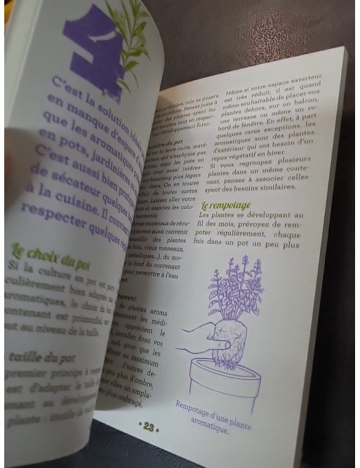 Plantes aromatiques en 10 leçons de Laurent Bourgeois - Guide pratique pour cultiver ses herbes
