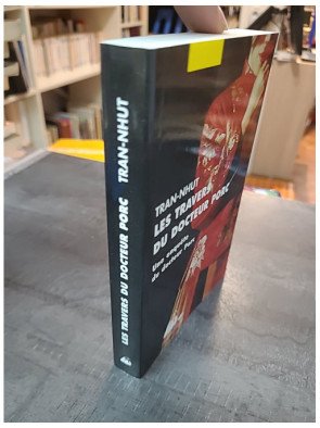 Les travers du docteur Porc - L'enquête policière de Thanh-Van Tran-Nhut dans le Dai-Viêt du XVIIe siècle