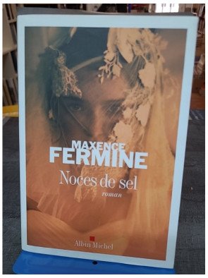 Noces de sel par Maxence Fermine