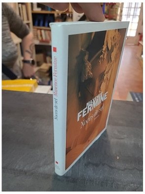 Noces de sel par Maxence Fermine