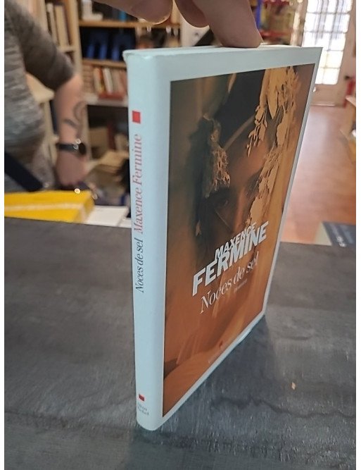 Noces de sel par Maxence Fermine