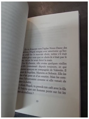 Noces de sel par Maxence Fermine