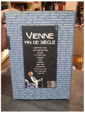 Vienne. Fin de siècle - Hans Bisanz, Marian Bisanz-Prakken, Christian Brandstätter, Monika Faber