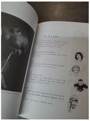 Dictionnaire des gestes - Attitudes et mouvements expressifs en usage dans le monde entier par François Caradec