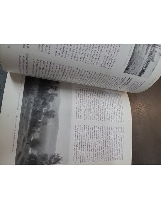 L'art du paysage en France au XIXe siècle par Janine Bailly-Herzberg