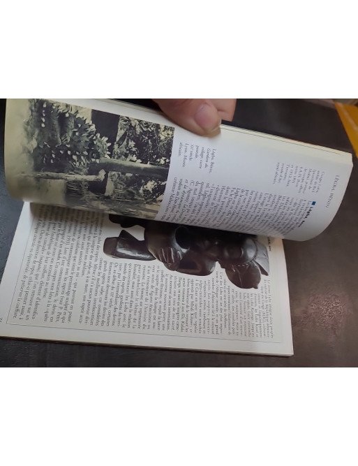 L'ABCdaire des arts africains par Laurick Zerbini : guide illustré