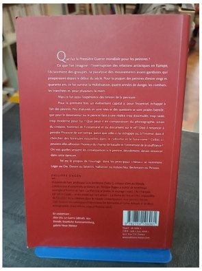 Le silence des peintres : les artistes face à la Grande Guerre par Philippe Dagen