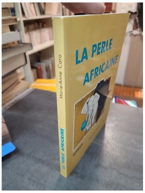 La Perle Africaine (roman) par Marie Anne Caro