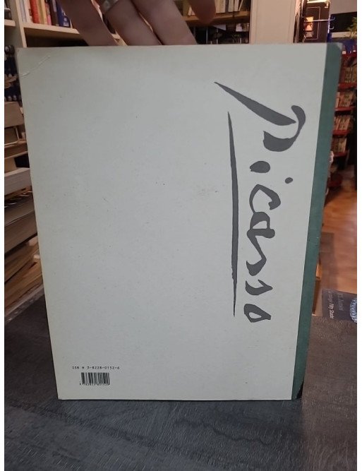 Picasso : Biographie du maître et son œuvre par Ingo F. Walther