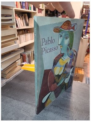 Picasso : Biographie du maître et son œuvre par Ingo F. Walther