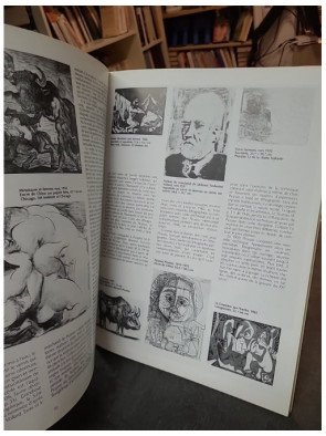 Picasso : Biographie du maître et son œuvre par Ingo F. Walther