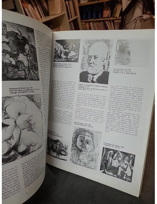 Picasso : Biographie du maître et son œuvre par Ingo F. Walther