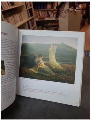 Le Poème de l'âme de Louis Janmot, une analyse par Elisabeth Hardouin-Fugier