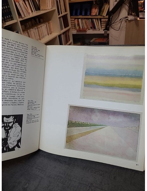 Paul Klee aux sources de la peinture : analyse de Claude Roy