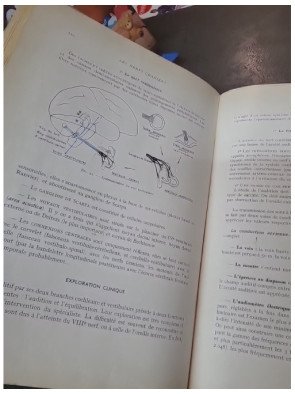 Le Système nerveux périphérique - Description, systématisation, exploration clinique, abord chirurgical par Guy Lazorthes