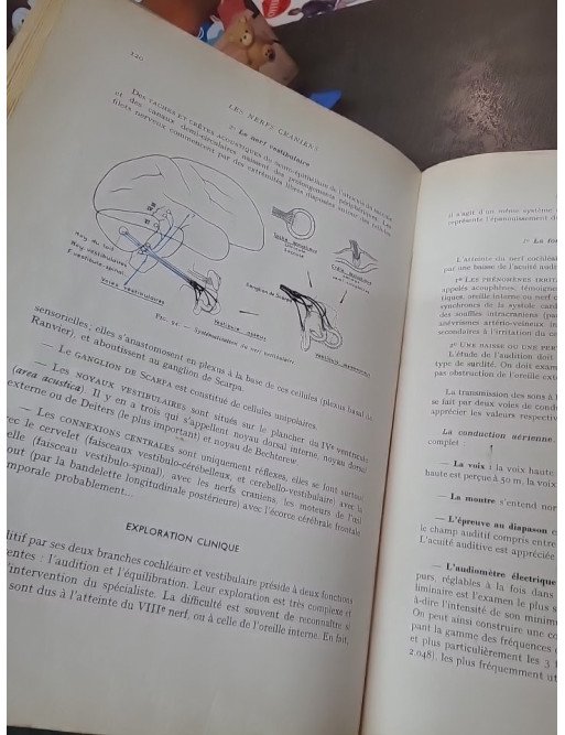 Le Système nerveux périphérique - Description, systématisation, exploration clinique, abord chirurgical par Guy Lazorthes