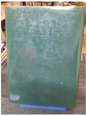 Le capricorne noir / connaissance de l'afrique par François BALSAN