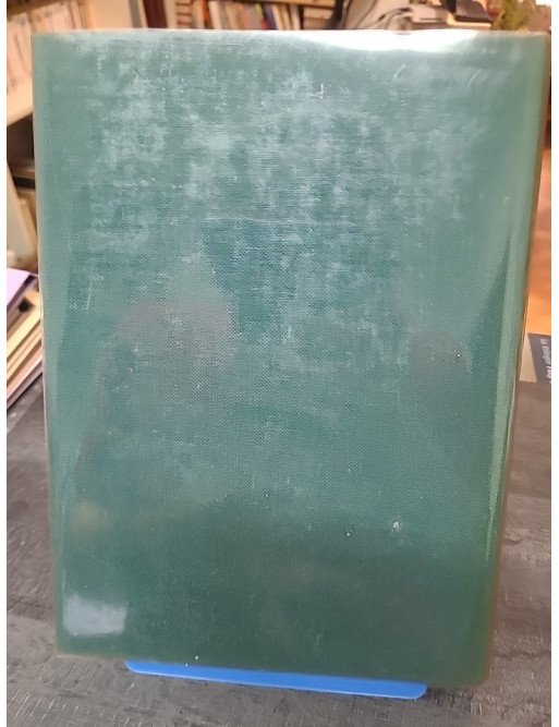 Le capricorne noir / connaissance de l'afrique par François BALSAN