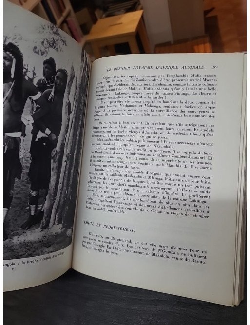 Le capricorne noir / connaissance de l'afrique par François BALSAN