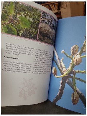 Le pistachier - Un arbre d'avenir: Histoire, culture, cuisine par Magali Amir