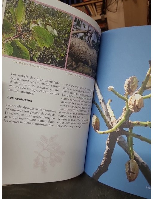 Le pistachier - Un arbre d'avenir: Histoire, culture, cuisine par Magali Amir