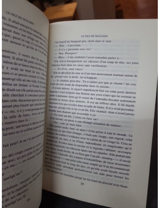 Le Nez de Mazarin : un roman d'Anny Duperey
