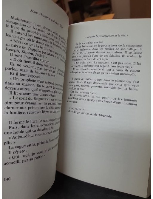 Jésus, l'homme qui était Dieu : Un récit historique par l'académicien Max Gallo