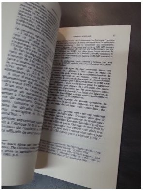 Afrique du Sud-Afrique australe : Interdépendances et antagonismes de Marc Aicardi de Saint-Paul