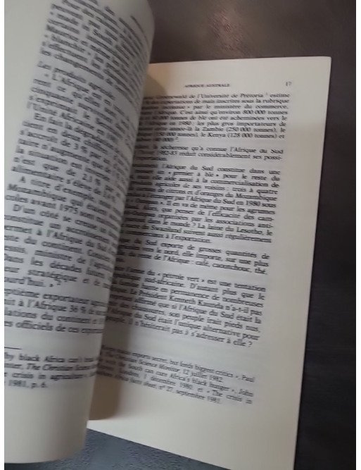 Afrique du Sud-Afrique australe : Interdépendances et antagonismes de Marc Aicardi de Saint-Paul
