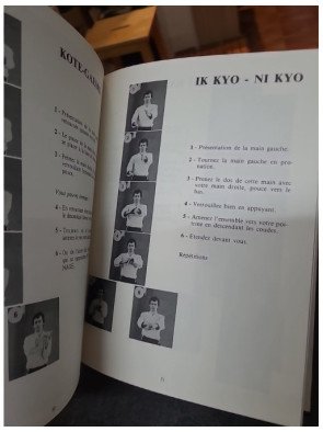 Aiki-do : Techniques de base de l'art martial par Michel Becart